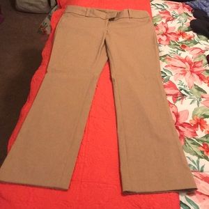 NWT The Limited Camel Exact Stretch Bootcut Sz 14
